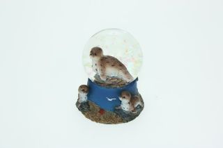 Obrázek z Sněžítko tuleň 6,5cm (6) 